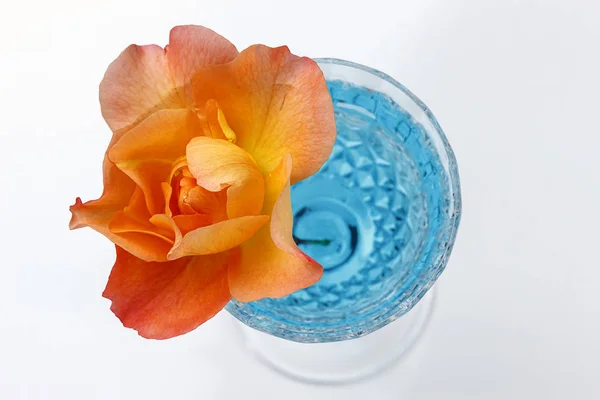 Een Roos Een Kristallenglas Met Blauw Gekleurde Water Phanan Van — Stockfoto