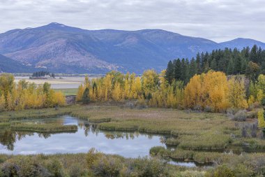 Fall landscape along Deep Creek Loop near Bonners Ferry, Idaho clipart