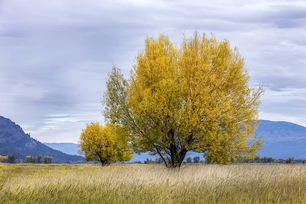 Plan Arka Planda Sonbahar Kootenai Wildlife Refuge Yakınındaki Bonners Feribot — Stok fotoğraf