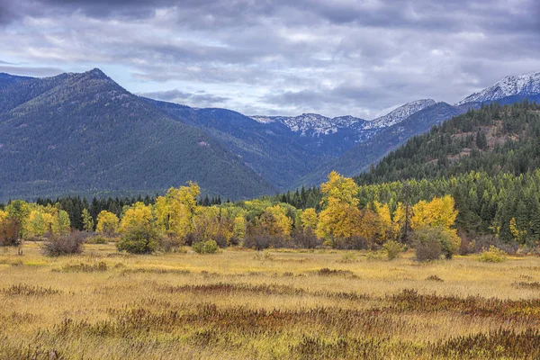 Valley Floor Leads Autumn Trees High Mountains Highway Western Montana Stock Photo