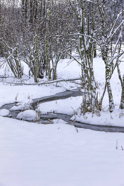 Ein Kleiner Bach Auf Dem Land Winter Der Nähe Von — Stockfoto