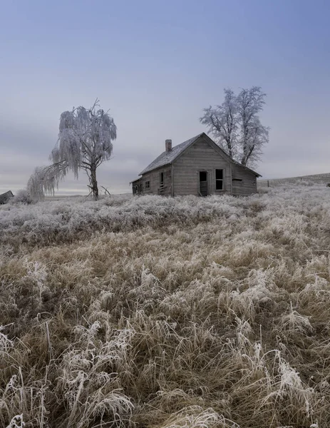 Een Verlaten Landelijke Hoeve Winter Met Vorst Grond Buurt Van — Stockfoto