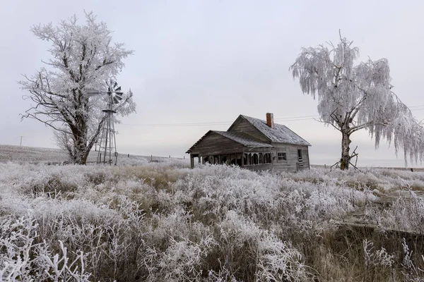 Ein Verlassenes Landwirtschaftliches Gehöft Winter Mit Bodenfrost Der Nähe Von — Stockfoto