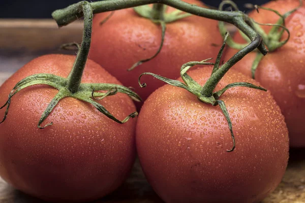Close Van Natte Tomaten Wijnstok Instelling Van Een Stilleven — Stockfoto