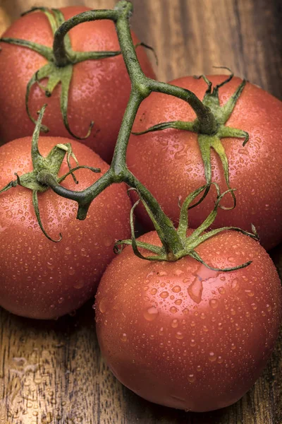 Våta Tomater Rankan Ett Stilleben Miljö — Stockfoto