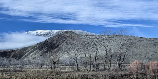 Karga Träden Vintern Förgrunden Bergen Bakgrunden Norr Yakima Washington — Stockfoto