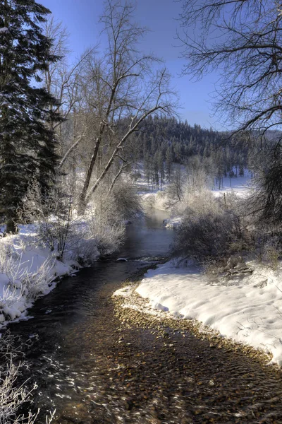 Malý potok v zimě. — Stock fotografie