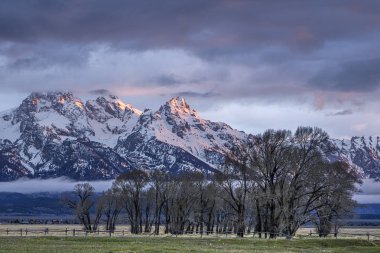 Grand Teton Ulusal Parkı.