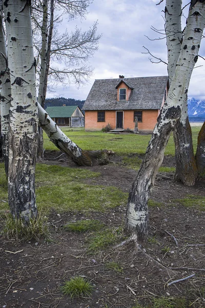 Daha az fotoğraflanan mormon satır ev. — Stok fotoğraf
