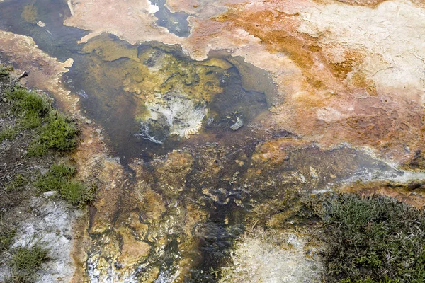 Resumen de las aguas termales de Mamut . — Foto de Stock