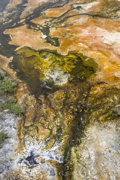Mamut meleg tavaszi baktérium tó. — Stock Fotó