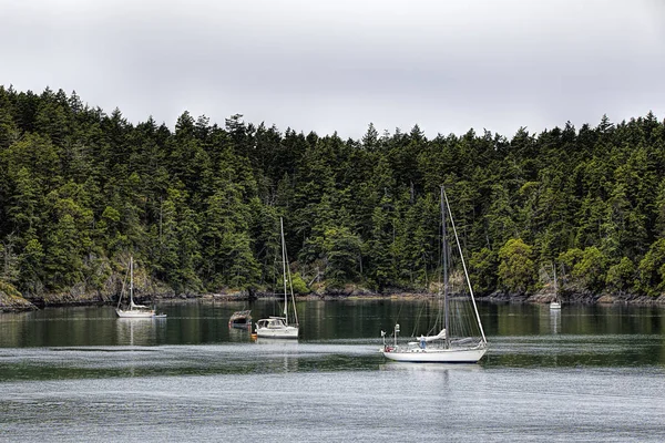 Sailboats moored near Firday harbor. — Stock Photo, Image