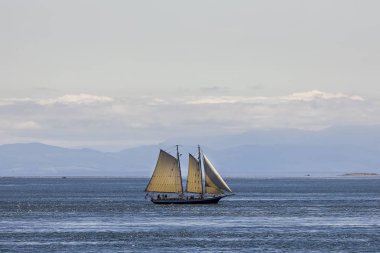 Vintage tarzı iki direkli yelkenli gemi.