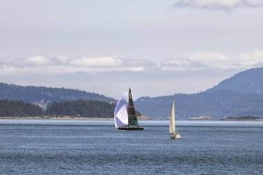 Güzel bir günde iki yelkenli.
