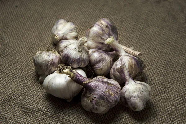 Knoblauch auf Klette. — Stockfoto