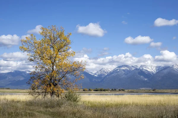 Montana occidentale in autunno . — Foto Stock