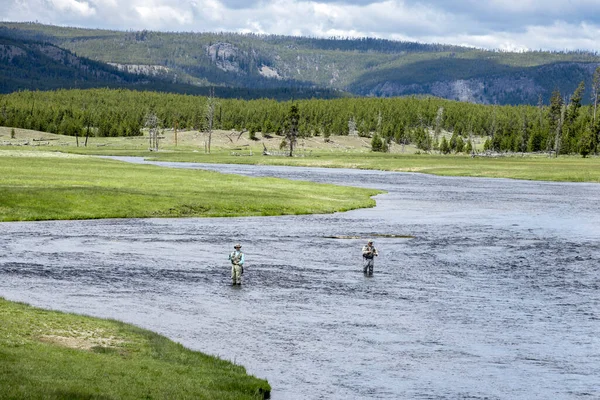 Repülő Halászok Gibbon Folyóban Yellowstone Nemzeti Parkban — Stock Fotó