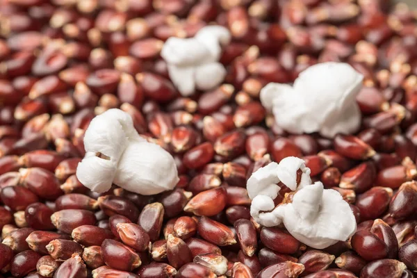 Een Paar Popcorn Pitten Bovenop Rauwe Pitten — Stockfoto