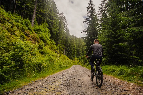 一个英俊的男子骑自行车在绿色的木材 与美妙的天空 — 图库照片