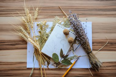 Üstten görünüm kompozisyon Kuru çiçekler lavanta, kalem, defter, yaprakları ve buğday whood arka plan gerçek gölge ile vurdu. Botanikçi ressam çalışma alanı kavramı.