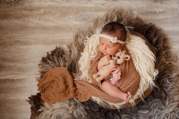 Newborn Baby Girl Lion Toy Her Arms Sleeps Basket Floor — Stock Photo, Image