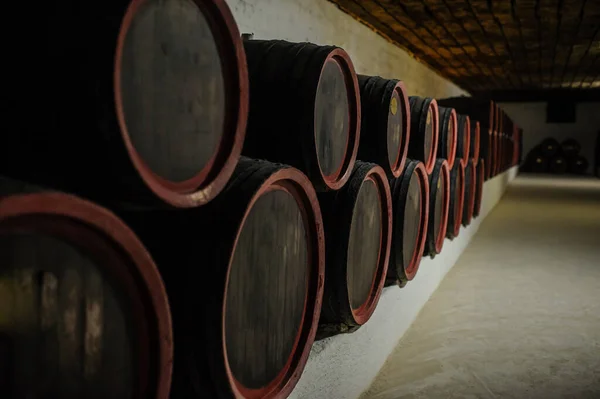 Barris Madeira Vinho Dentro Dos Túneis Subterrâneos Uma Adega — Fotografia de Stock