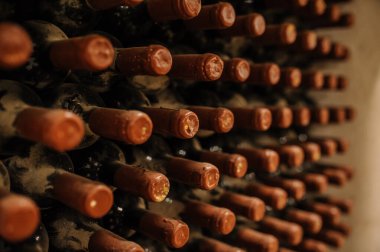  Şarap şişeleri eski şarap mahzenine istiflenmiş.