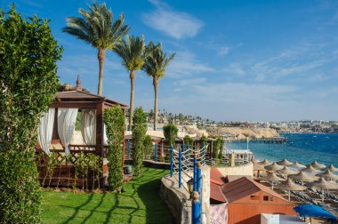 Kızıl Deniz kıyısındaki bir tatil beldesinin tropikal bahçesindeki palmiye ağaçları ve diğer bitkiler