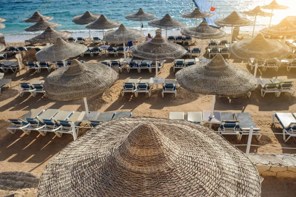 Rieten Parasols Ligstoelen Een Strand Een Idyllisch Tropisch Resort Voor — Stockfoto