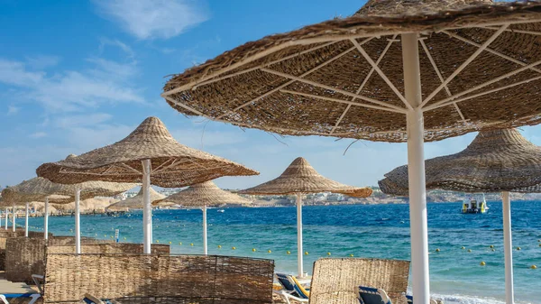 Rieten Parasols Ligstoelen Een Strand Een Idyllisch Tropisch Resort Voor — Stockfoto