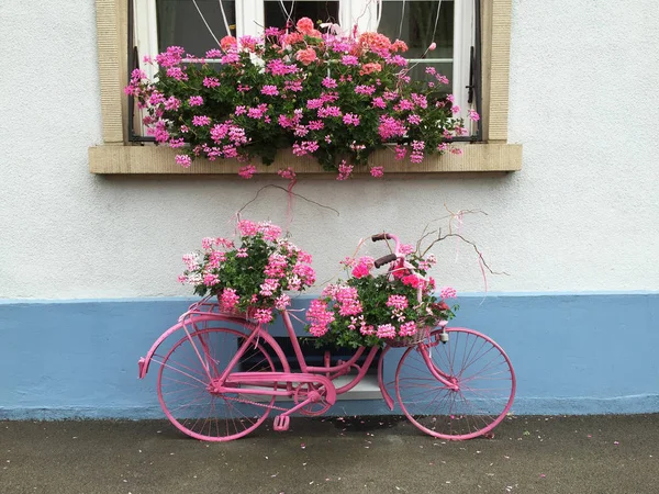 Ροζ Ζωγραφισμένα Παλιό Ποδήλατο Σαν Λουλούδια Υποστήριξη Γραφική Οδό Διακόσμηση — Φωτογραφία Αρχείου