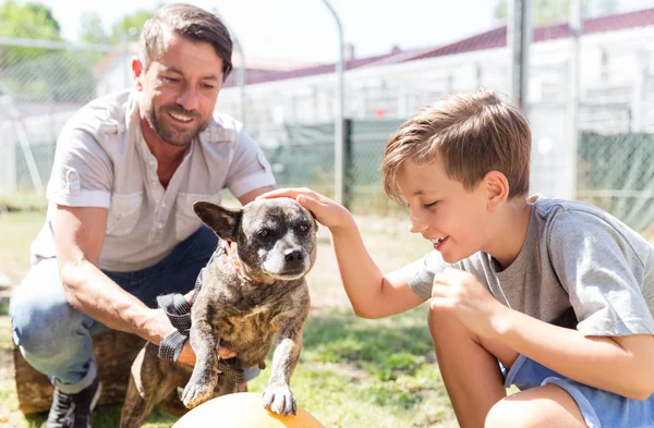 Dad and his son taking care of abandoned dog in animal shelter — Stock Photo, Image