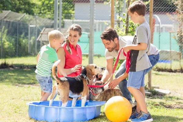 Family playing with dog from animal shelter — Stock Photo, Image