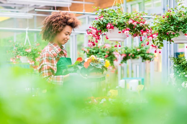 Sidovy av en dedikerad florist som innehar en bricka med dekorativa blommor — Stockfoto