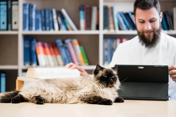 Veterinarian doctor with cat looking up medical information — Stock Photo, Image