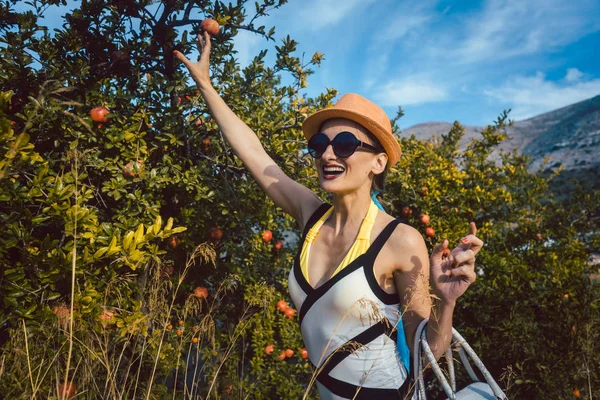 Žena krádeže granátové jablko ovoce ze stromu — Stock fotografie