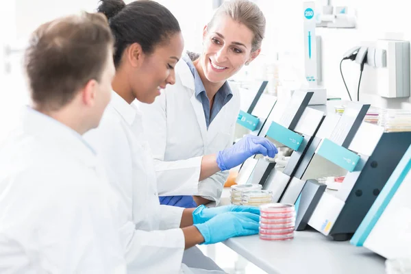 Group of researchers using scientific technology for test of samples — Stock Photo, Image