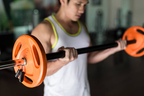 Determined young man holding a barbell while exercising bicep curls