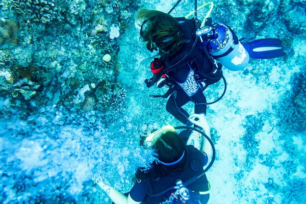 Дайвинг на коралловом рифе под водой в тропическом океане — стоковое фото