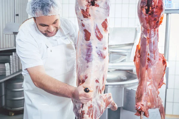 Slaktare skär till bitar kött från stommen — Stockfoto