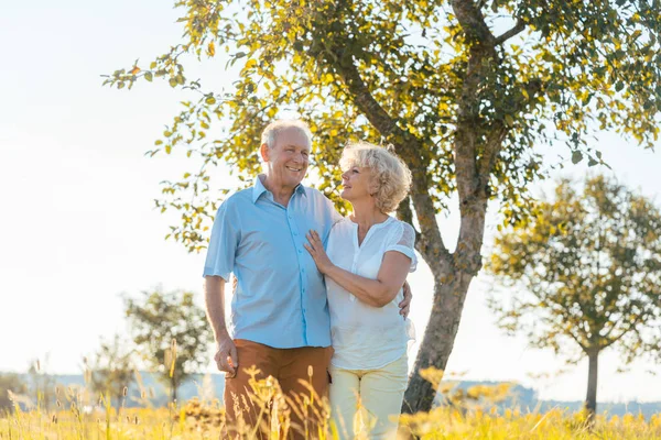 Romantica coppia anziana che si tiene per mano mentre cammina insieme in campagna — Foto Stock