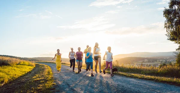 Speelse familie lopen en spelen op een pad in zomer landschap — Stockfoto
