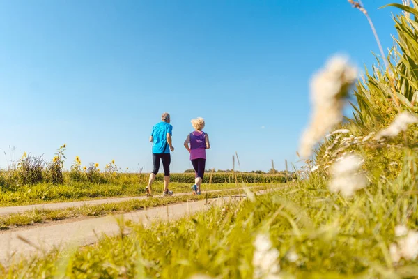 Двоє здорових літніх людей бігають по сільській дорозі влітку — стокове фото