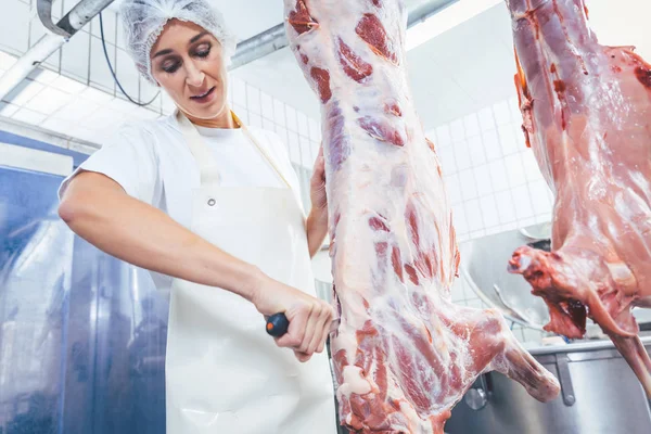 肉屋の枝肉から部分肉に加工 — ストック写真