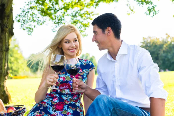 Piknik zekâ kırmızı şarap çayır üzerinde sahip çift