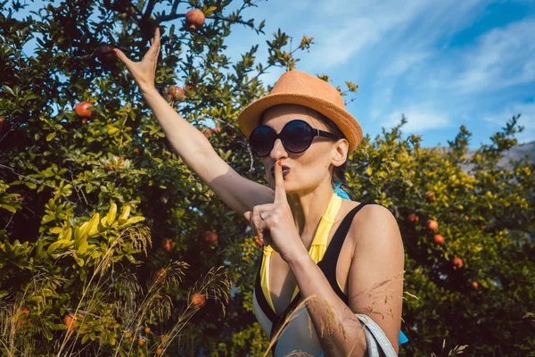 Žena Krádeže Granátové Jablko Ovoce Stromu Hledat Vinu — Stock fotografie