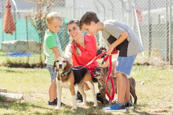 Mom with her sons walking dogs of an animal shelter