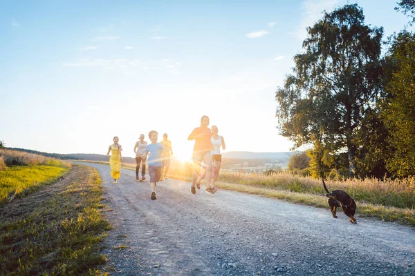 Familia juguetona corriendo y jugando en un camino en el paisaje de verano — Foto de Stock