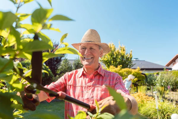 Retrato de um homem idoso ativo alegre cortando arbustos no jardim — Fotografia de Stock