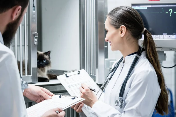 Tierärzte auf der Intensivstation der Tierklinik — Stockfoto